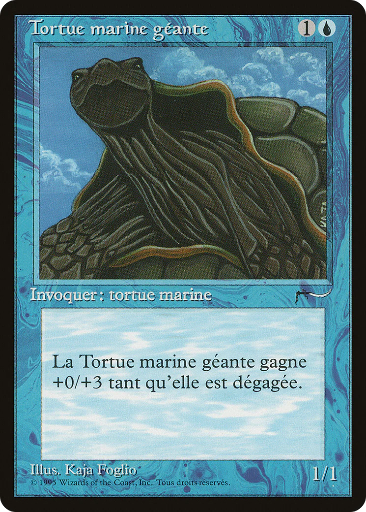 Giant Tortoise (REN-034) - Renaissance