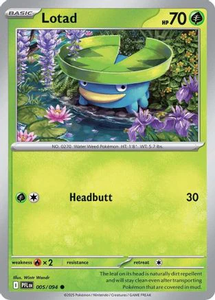 Lotad 005 - Common