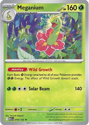 Meganium 010 - Rare - Reverse Holofoil