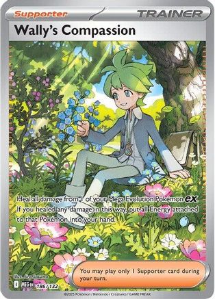 Wally's Compassion 186/132 - Special Illustration Rare - Holofoil