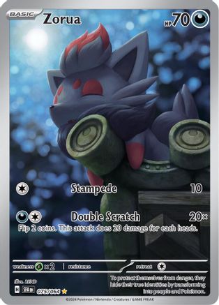 Zorua 075/064 - Illustration Rare - Holofoil